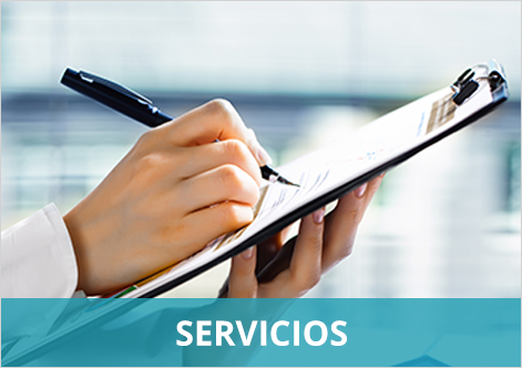 servicios